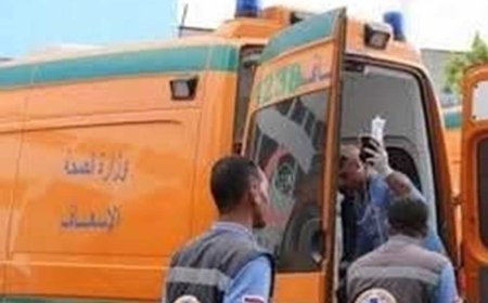 مصرع شخص وإصابة 6 آخرين في انقلاب ميكروباص بالبحيرة