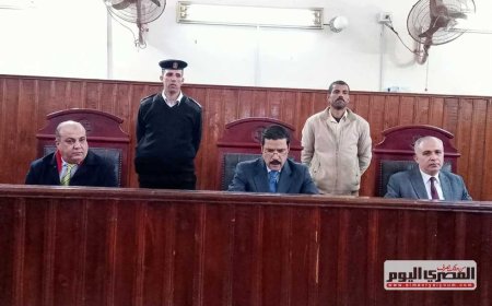 «قاموا باستعراض القوة».. تأجيل محاكمة 8 أشقاء وأولاد عمومة في المنيا