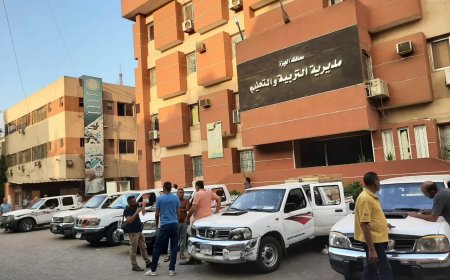 بالإدارات والمدارس..الآن نتيجة التنسيق الثاني للصف الأول لرياض الأطفال بالجيزة