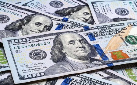 «الداخلية»: ضبط قضايا اتجار بالعملات الأجنبية بقيمة 6 ملايين جنيه خلال 24 ساعة