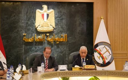 النائب العام يستقبل «كجوك» في إطار تعزيز الشراكة المؤسسية بين النيابة العامة و«المالية»