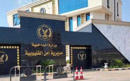 بحوزته «بودر» وسلاح أبيض.. القبض على عاطل في القليوبية بتهمة الاتجار بالمخدرات