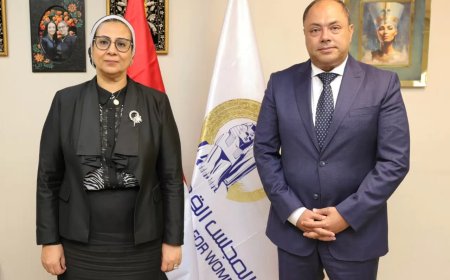 المستشارة أمل عمار تبحث سبل التعاون مع رئيس هيئة تنمية الصعيد