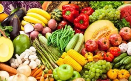 وزير الزراعة يعلن تجاوز الصادرات الزراعية المصرية 7.2 مليون طن حتى الآن..