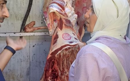 حملة رقابية بالشروق تضبط أكثر من ربع طن لحوم ودواجن فاسدة بمطعم شهير