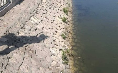 العثور على جثة مُسن مجهول الهوية بترعة القاصد بطنطا