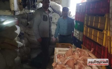ضبط أكثر من طن دواجن مذبوحة خارج المجازر الحكومية بـ بيلا في كفر الشيخ
