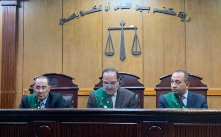 إحالة أوراق متهم بخطف وهتك عرض 3 أطفال في «الطالبية» إلى المفتي