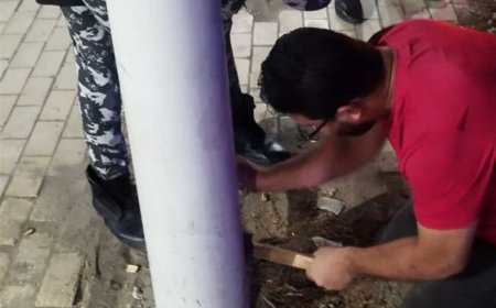 الحماية المدنية تنقذ قطة عالقة داخل عمود إنارة في حي الزهور ببورسعيد