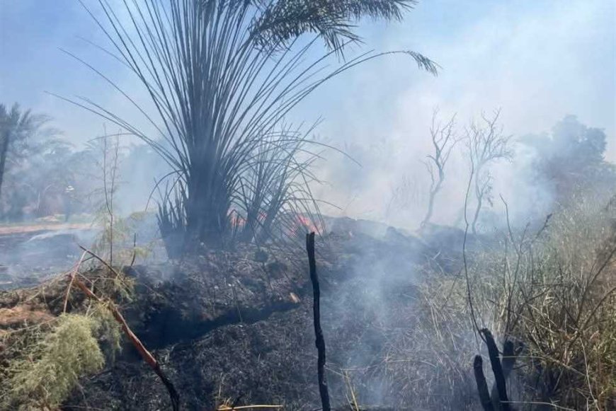 حريق بمنطقة زراعية في الوادي الجديد