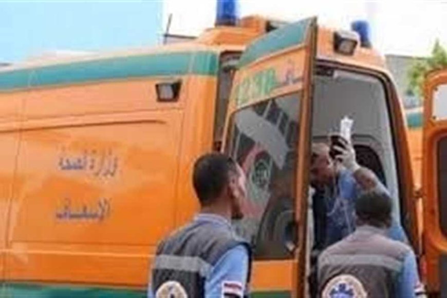 مصرع شخص وإصابة 6 آخرين في انقلاب ميكروباص بالبحيرة