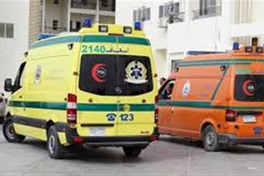 مصرع فتاة صدمتها سيارة ربع نقل بحي الزهور في بورسعيد