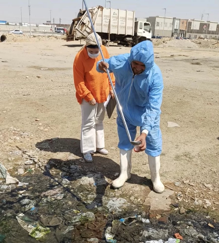 استمرار التحركات العاجلة بالشروق للقضاء على بؤر البعوض والذباب وحماية الصحة العامة