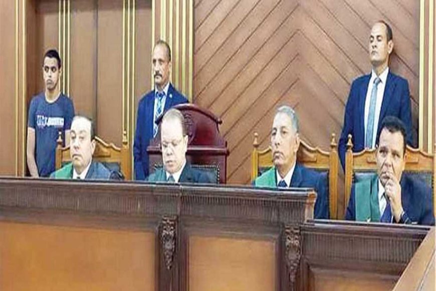 الحكم فى استئناف 11 متهمًا بالاشتراك مع حمزة زوبع ومعتز مطر بقضية «الخلية الإعلامية» 10 نوفمبر المقبل