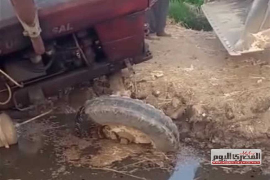إصابة سائق في سقوط جرار زراعي ببحر الخادمية في محافظة كفر الشيخ