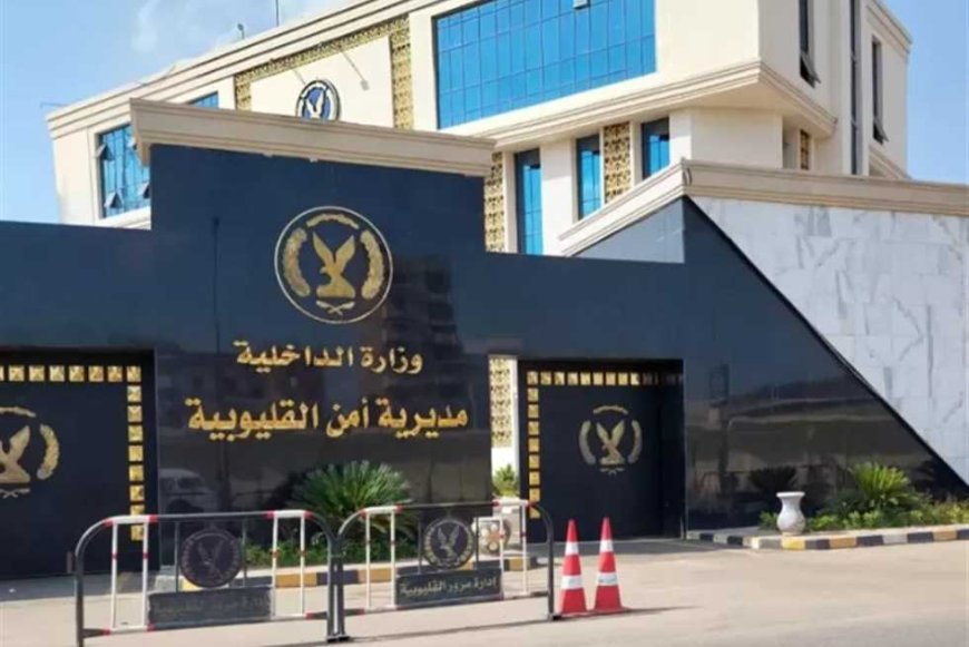 بحوزته «بودر» وسلاح أبيض.. القبض على عاطل في القليوبية بتهمة الاتجار بالمخدرات