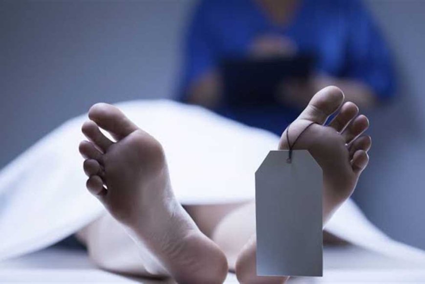 أول قرار لجهات التحقيق بعد مقتل سيدة على يد زوجها بالدقهلية