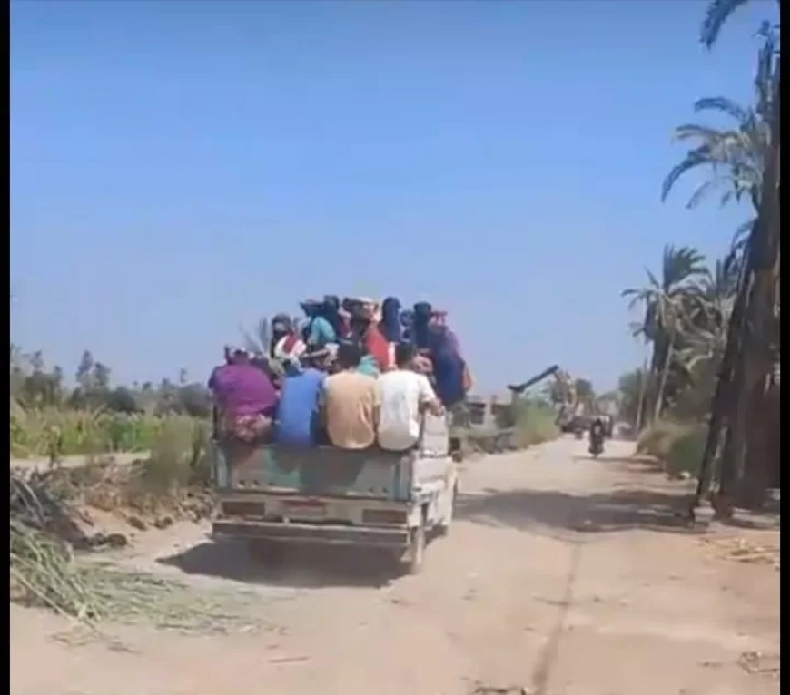 دشطوط بنى سويف خارج اهتمامات المحافظة! !