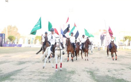 محافظ الشرقية يفتتح مهرجان الخيول العربية الأصيلة في دورته الـ 29ـ