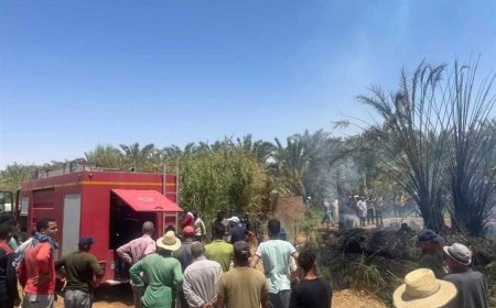 السيطرة على حريق بمزرعة للنخيل في الوادي الجديد