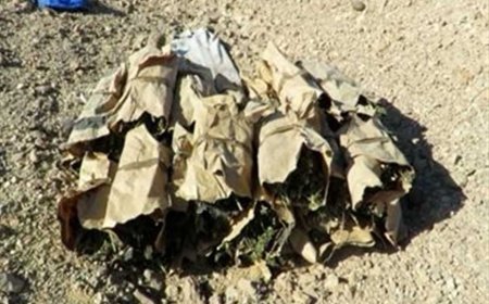 ضبط عنصر إجرامي بحوزته حشيش وشابو فرد روسي في الأقصر