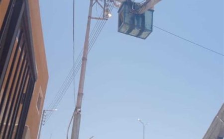 «الداخلية»: ضبط تشكيل عصابي لسرقة الكابلات الكهربائية من أعمدة الإنارة ببورسعيد