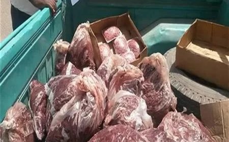 الزراعة”: ضبط أكثر من 270 طن لحوم غير صالحة وتحرير 981 محضرًا خلال سبتمبر
