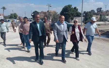 جولة ميدانية لنائب محافظ الجيزة بمركز منشأة القناطر