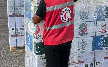 وصول الشحنة الخامسة من المساعدات الإنسانية الباكستانية لغزة  إلى مطار العريش