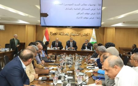 محافظ الجيزة يبحث استعدادات الفنادق والجهات التنفيذية لافتتاح المتحف الكبير