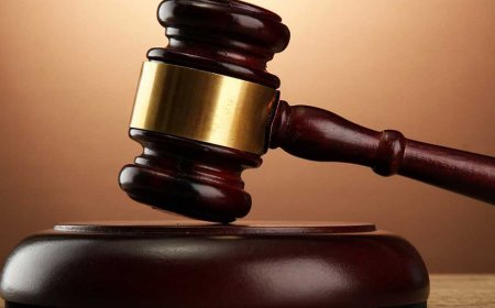 بتهمة القتل.. تأجيل محاكمة خفير وعاطل أطلقا الرصاص على شخص بشبين القناطر