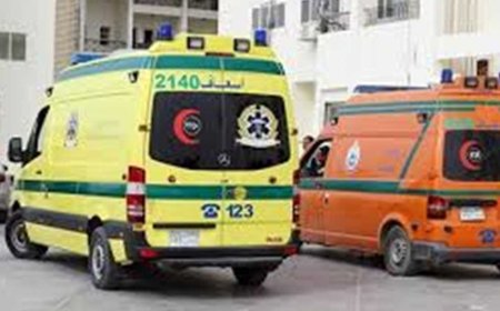 مصرع شخص وإصابة آخر في انقلاب تريلا محملة بـ50 طن ذرة على الطريق الإقليمي بالمنوفية