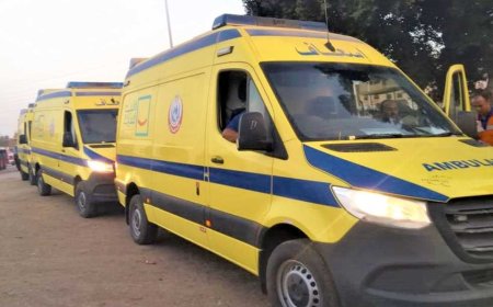 مصرع شخص وإصابة سيدة في حادث تصادم بالدقهلية