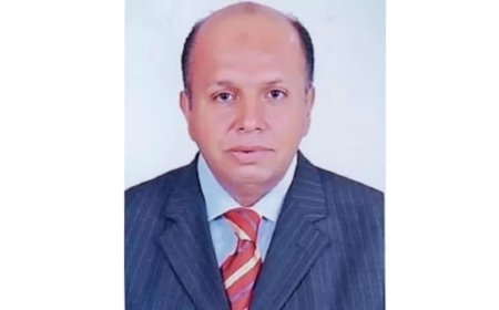 البذور.. سر الحياة في الزراعة الحديثة