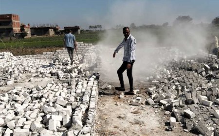 ضمن الموجة 27.. إزالة 7 حالات تعد على الأراضى الزراعية وسط الإسكندرية (صور)