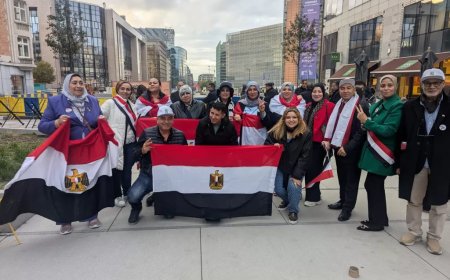 مجلس الجالية المصرية بهولندا يرحب بنجاح القمة المصرية الأوروبية