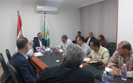 محافظ الجيزة يتابع تجهيزات المحافظة لحفل افتتاح المتحف المصري الكبير