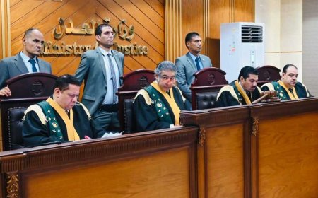 غدًا.. «وادي النطرون» تنظر جلسة محاكمة أب بتهمة الاعتداء على نجلته وحجز زوجته