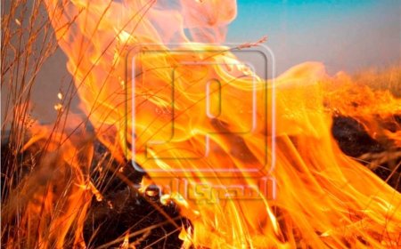 بسبب ماس كهربائي.. حريق هائل داخل مصنع سجاد بالمحلة