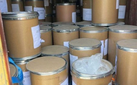 «بتعويضات 16 مليون جنيه».. جمارك الدخيلة تحبط تهريب مبيدات حشرية محظور استيرادها (صور)