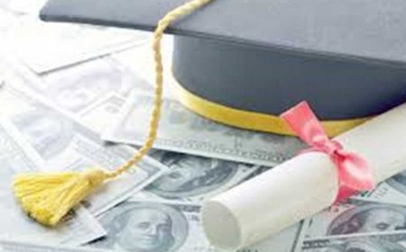 داخل كيان وهمي.. الأموال العامة تضبط شهادات تعليمية مزورة بمدينة نصر