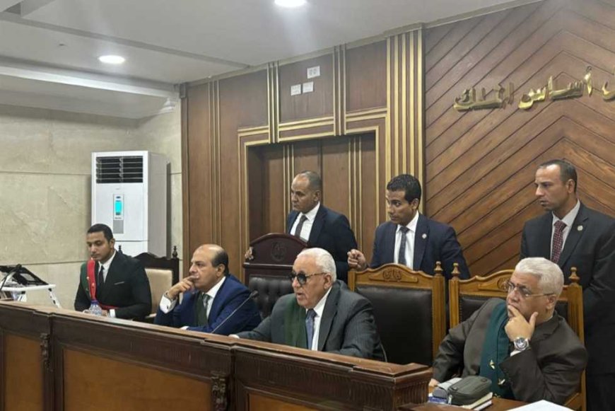 محاكمة 42 متهما بـ«الانضمام لجماعة محظورة» اليوم