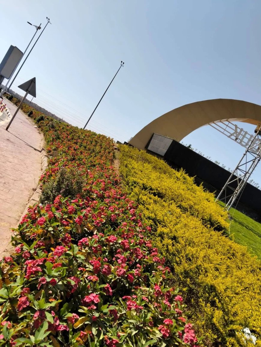 تطوير وصيانة مدخل الشروق 2 بطريق السويس حفاظًا على المظهر الحضارى