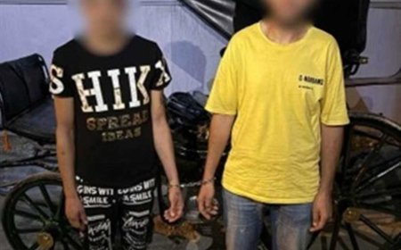 ضبط سائقين حاولا إجبار سائحة على ركوب «حنطور» وهددا مصور الفيديو بالإسكندرية