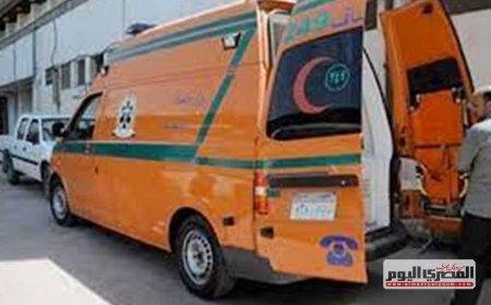 تصدت له فقتلها.. مصرع سيدة بطلق ناري على يد لص في الدقهلية