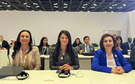 “التضامن”: 75% من مستفيدي “تكافل وكرامة” من النساء