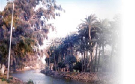 «صُراخ وعيل صغير واقع في الترعة وميت».. شاهد يروي لحظة العثور على «مصطفى» آخر ضحايا جريمة الهرم (خاص)