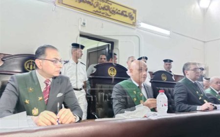 اليوم.. جلسة النطق بالحكم على المتهمة بقتل زوجها وأطفاله الـ6 بدلجا في المنيا