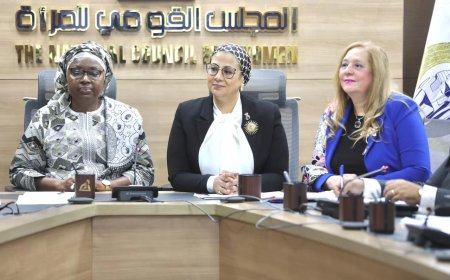 المستشارة أمل عمار تبحث سبل التعاون مع وفد مفوضية الاتحاد الإفريقي