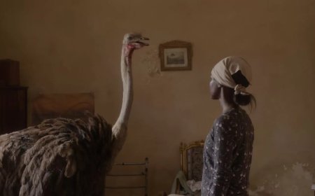 “عائشة لا تستطيع الطيران” يشارك في المسابقة الرسمية لمهرجان مراكش